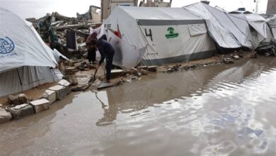 الأمم المتحدة