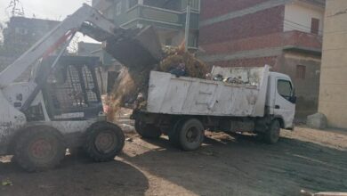 حملات مكبرة بكفر الشيخ: رفع 2015 طن مخلفات وتحرير 110 محاضر تموينية لضبط الأسواق