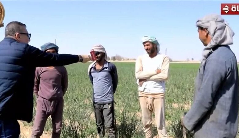 عمرو الليثي
