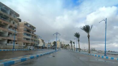 الأرصاد